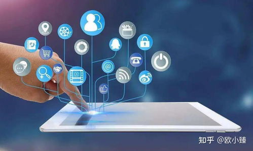 数字内容服务 物企创新管理与提升经营能力的新引擎