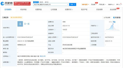 数字化浪潮下的核心动力 专业数字内容制作服务详解